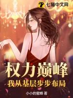 权力巅峰我从基层步步布局 第405章
