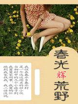 春光辉荒野 全本