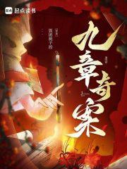 饭团桃子控九章奇案