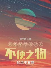 训练家真