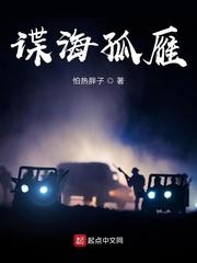 谍海孤雁TXT百度