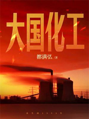 大国化工是什么