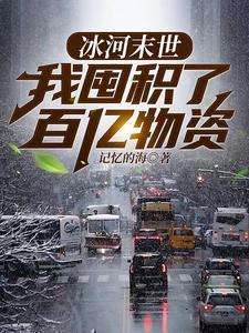 冰河末世我囤积了百亿物资中康德是谁