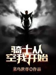骑士从空我开始起点免费阅读