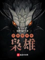 回到明末做枭雄鲲鹏九变