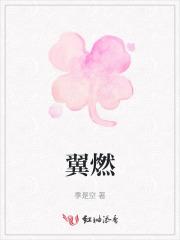 翼燃科技