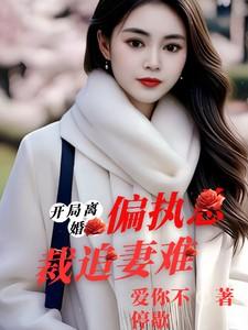 开局离婚gl