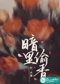 暗里偷香大结局