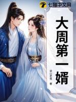 大周第一婿沈镜