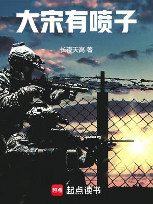 大宋有喷子书评