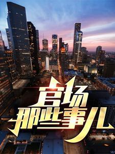 官场那些事儿完整版