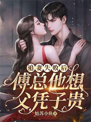 傅总追妻火葬场全文阅读