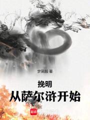 挽明从萨尔浒开始怎么样