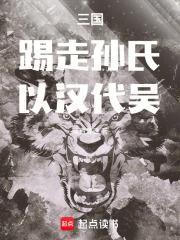 三国踢走孙氏以汉代吴TXT