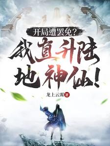 开局我开直升机去报道
