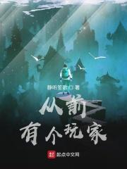 从前有个玩家的