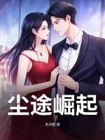 尘途崛起在线阅读