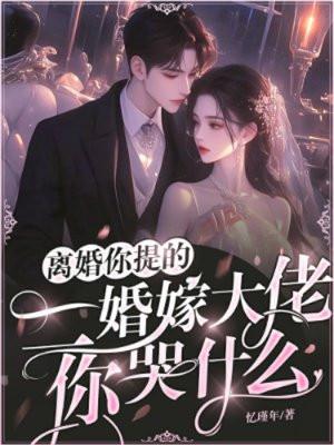 二婚嫁个大总裁