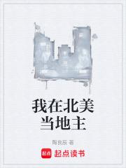 我在北美当地主起点