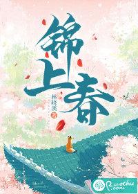 锦上春风怎么样