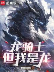 说自己龙骑士是啥