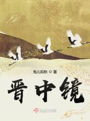 晋中镜大结局讲了啥