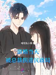 退婚当天被总裁拐进民政局了