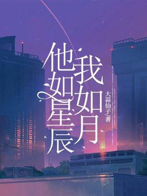他如星辰我如月赵西辞