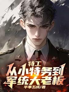 特工从小特务到军统大老板txt