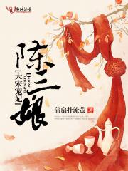 大宋宠妃陈三娘是好人吗