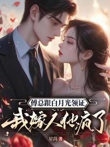 我嫁人他疯了 星茴 / 著