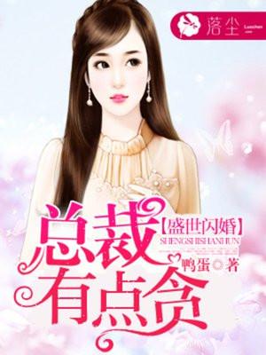 盛世闪婚总裁有点贪免费阅读