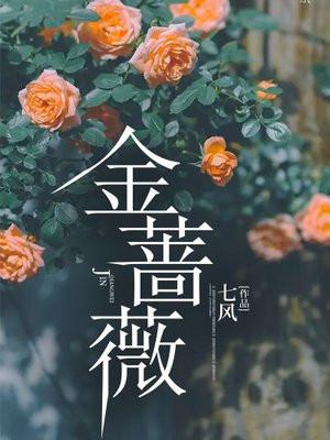 金蔷薇是什么花