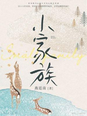 小家族完美继承人燕霓南