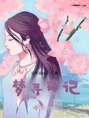 寻梦记