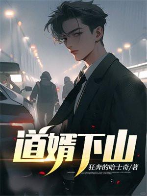 道婿当道