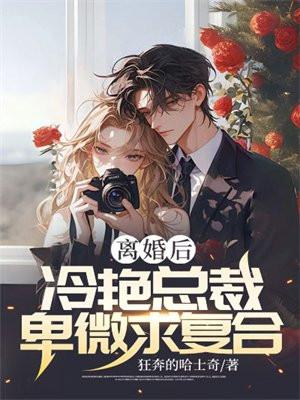 离婚后总裁求我复合