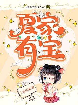 夏家有宝讲的什么