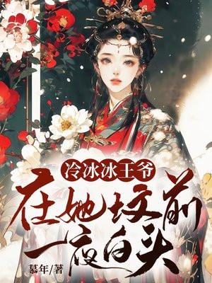 冰冷王爷俏医妃全文免费阅读