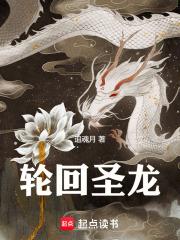 轮回圣皇 最新章节 无弹窗