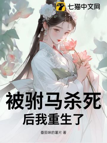 公主被驸马休了