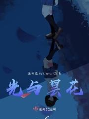 昙花与人类的关系