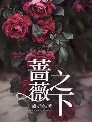 蔷薇之下免费阅读无弹窗