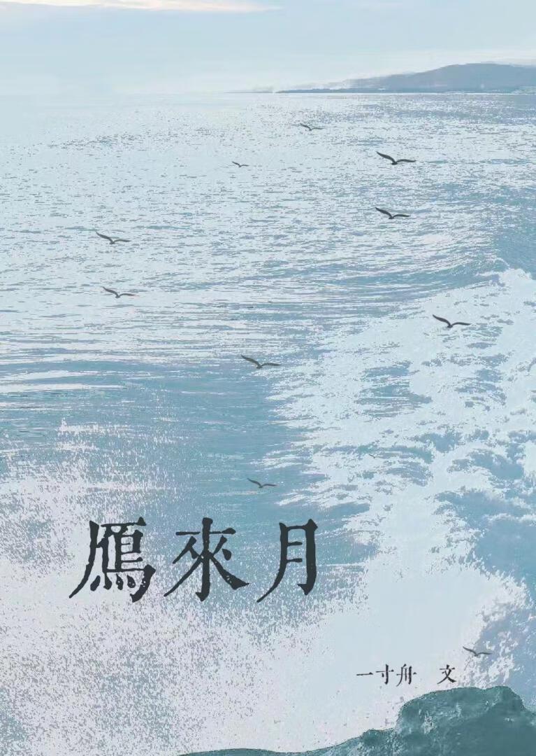 雁来月一寸舟全本TXT
