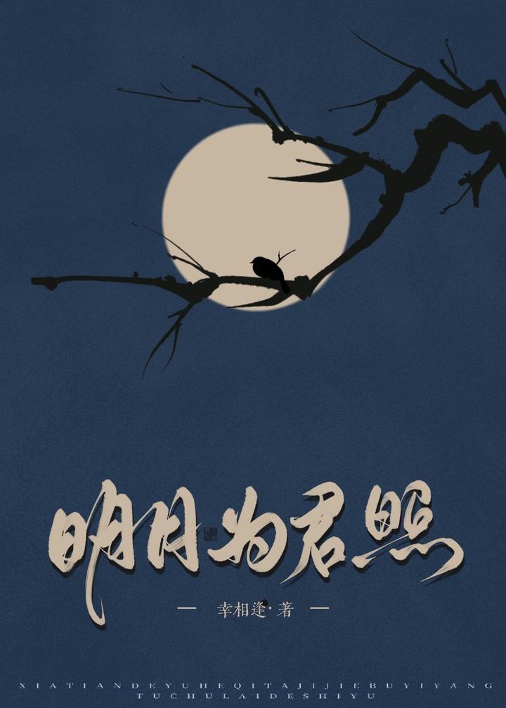 明月照君心