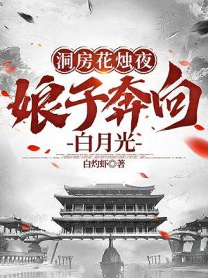 洞房花烛夜的下一句是什么