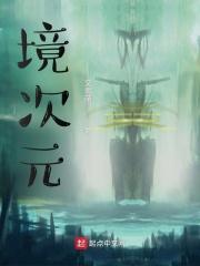 境次元