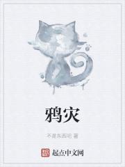 鸦灾