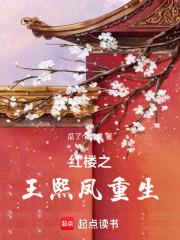 红楼之王熙凤重生